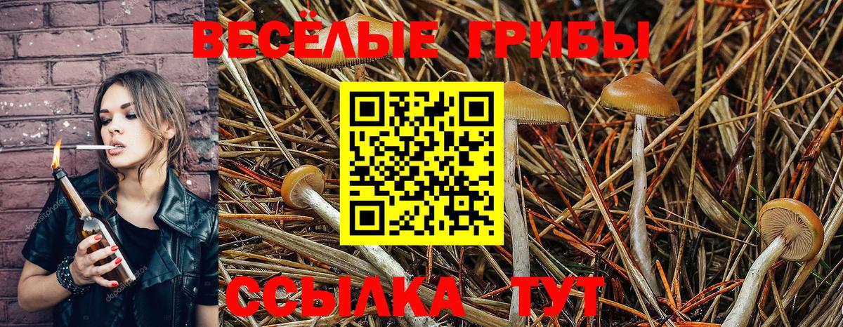 Жигулёвск  Галлюциногенные грибы мухоморы  Вход с VPN 